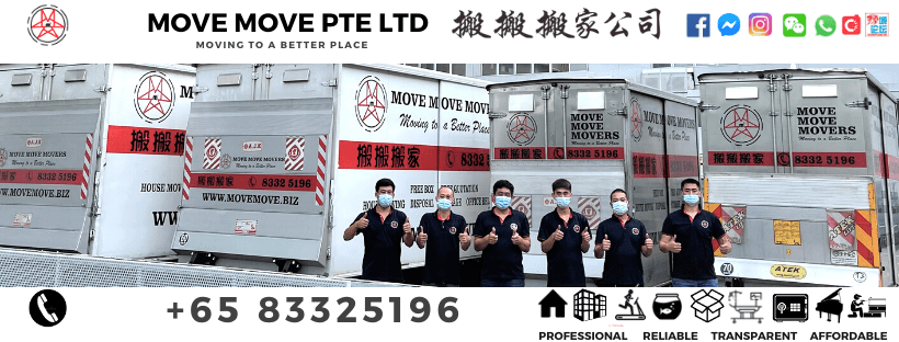 Move Move Movers- Mover team