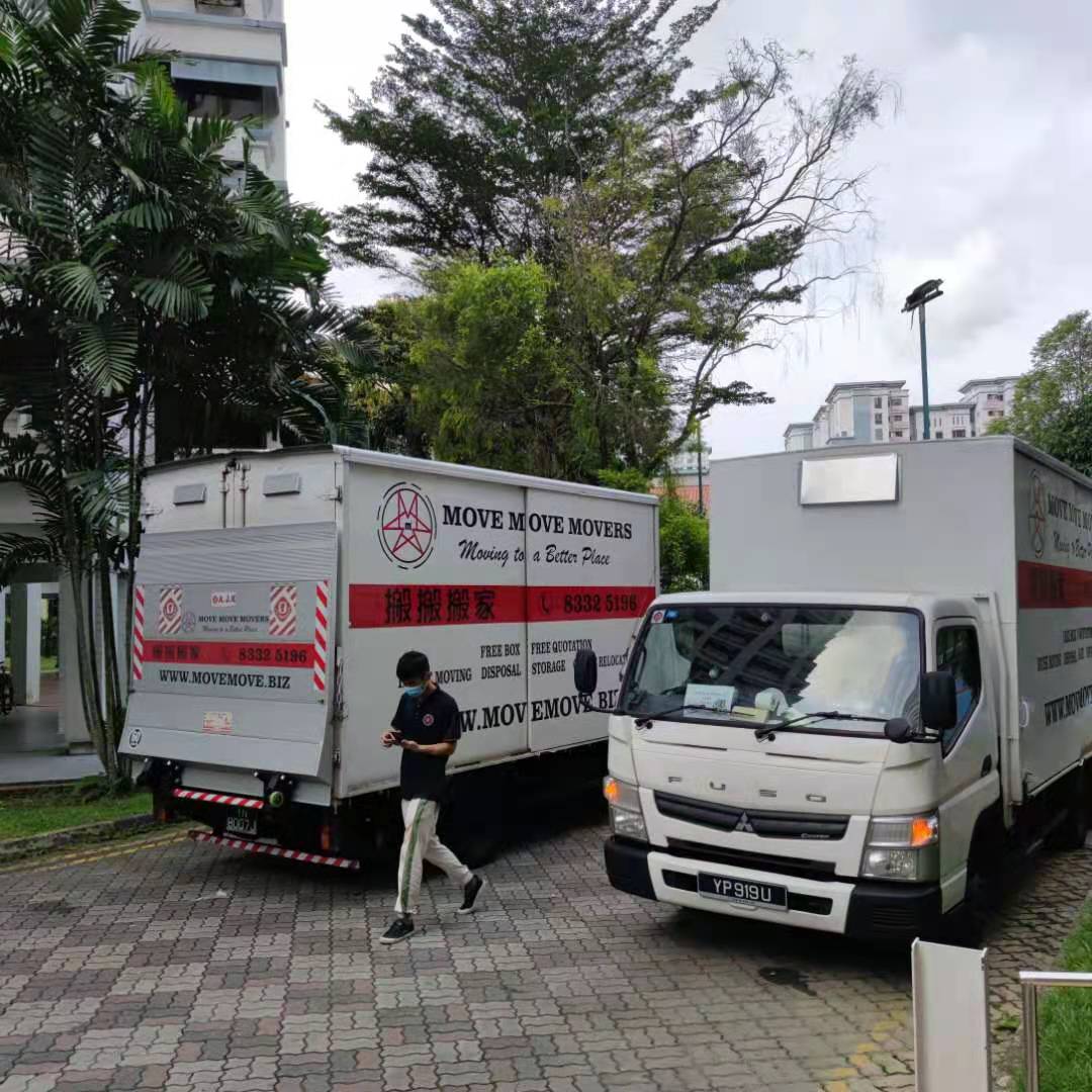 Professional lorry mover – move move movers Professional lorry mover
