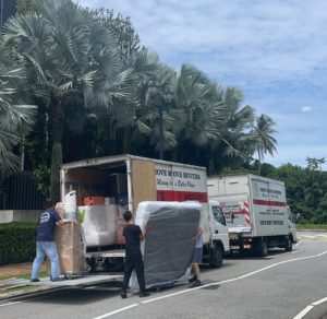 Waste removal services – move move movers waste removal services