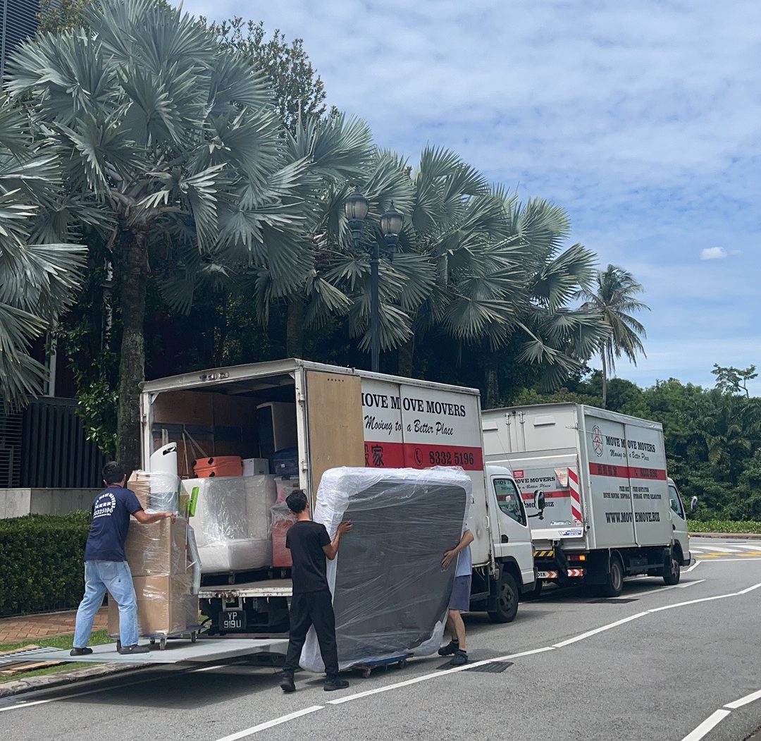 Waste removal services – move move movers waste removal services