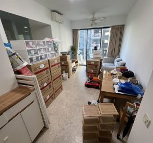 Household items and labeled moving boxes staged in a compact living room