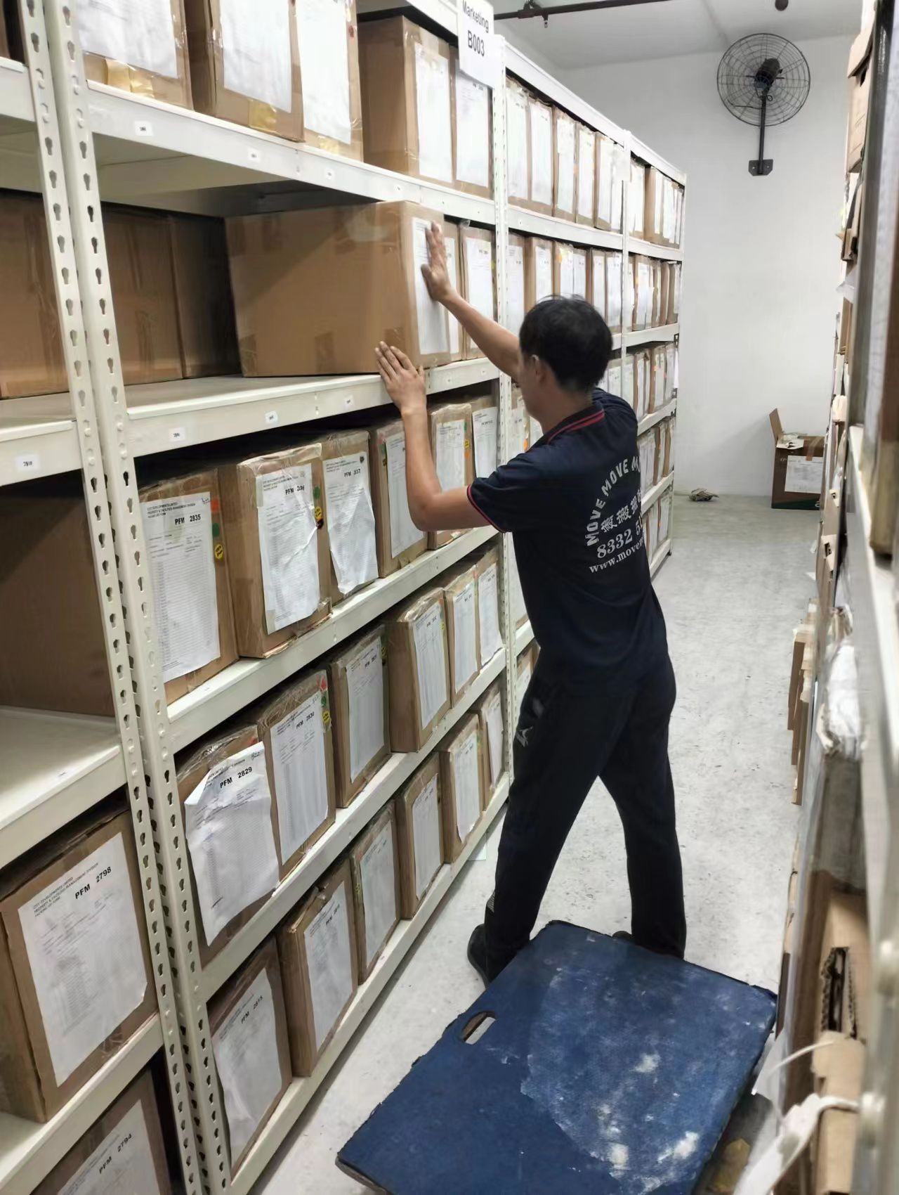 Mover placing labelled cartons onto metal archive storage shelves