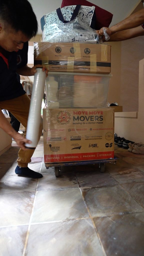 Move Move Movers 20260108 004544711 iOS 1