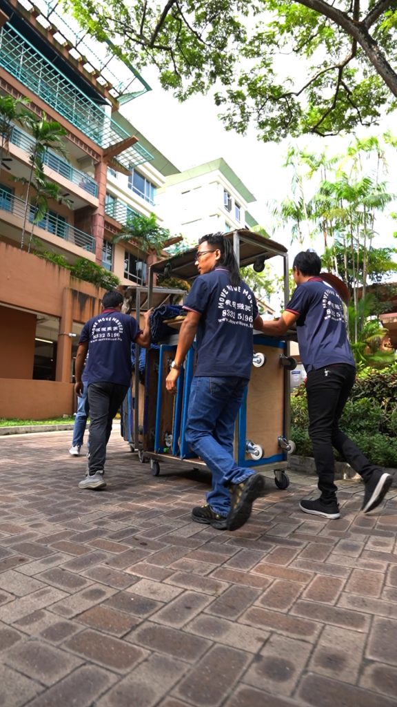 Move Move Movers MMM Team